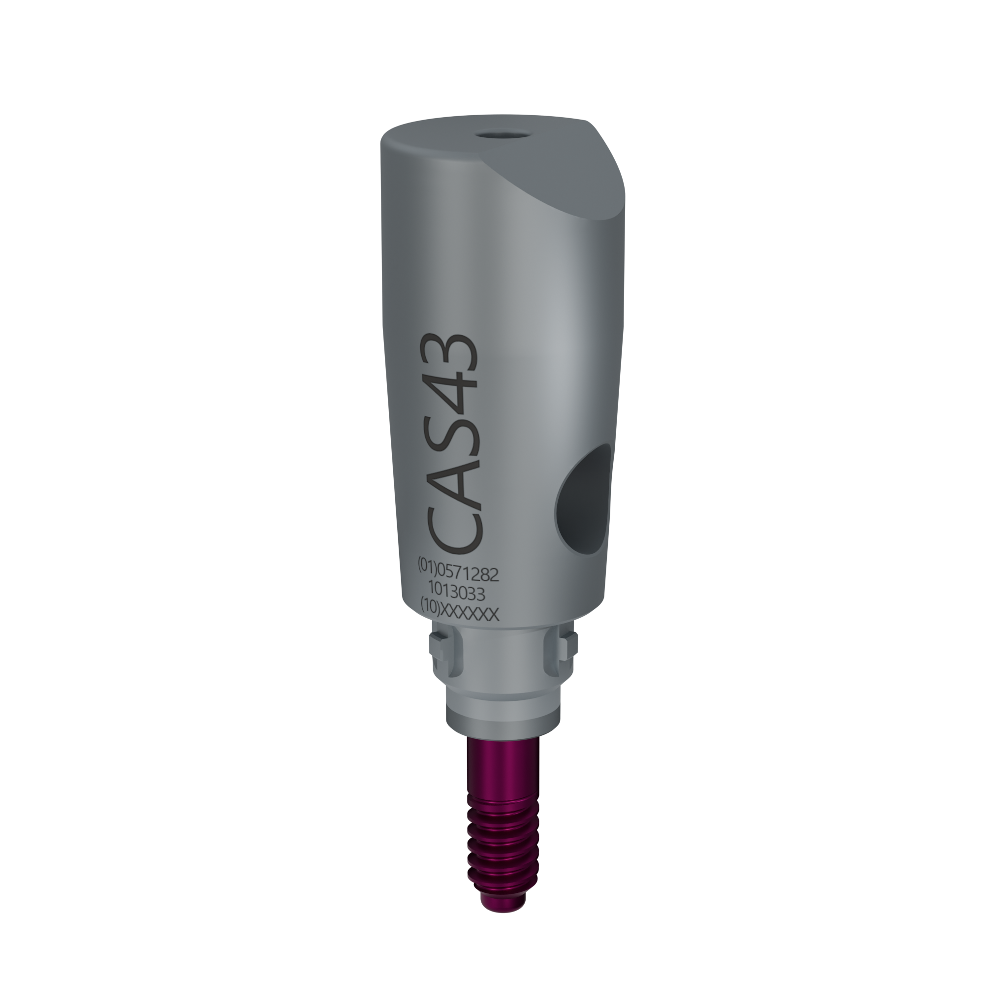 Oral Implantology: Basics， ITI Hollow Cylinder System (Thieme flexibooks) Schroeder， Andre; etc.